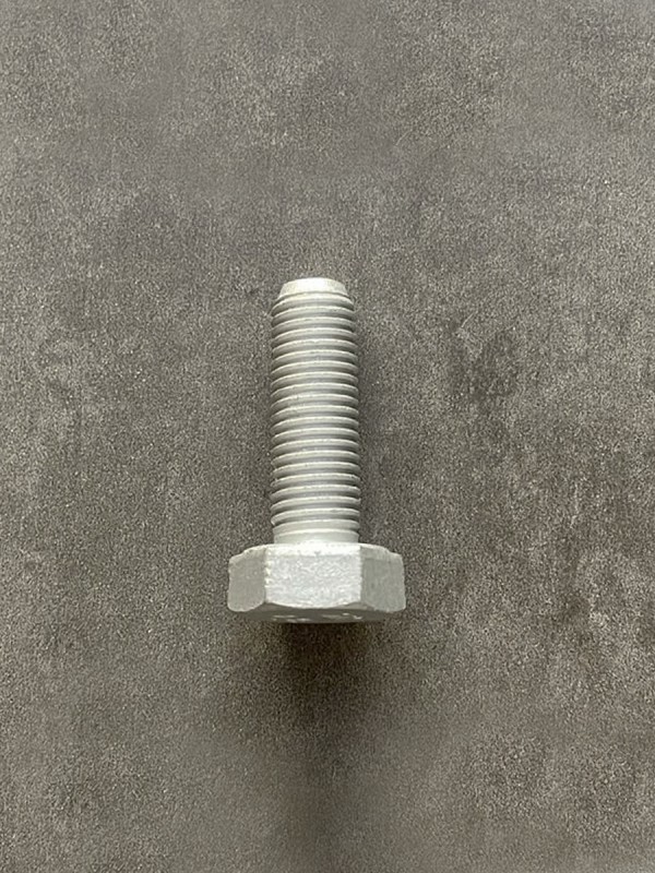 Болт М10х30х1,25 1/13069/21