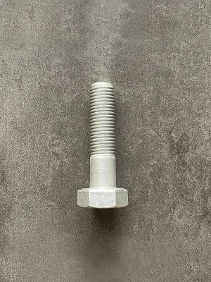 Болт М10х40х1,25 1/13070/21