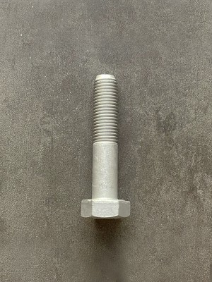 Болт М10х50х1,25 1/13438/21