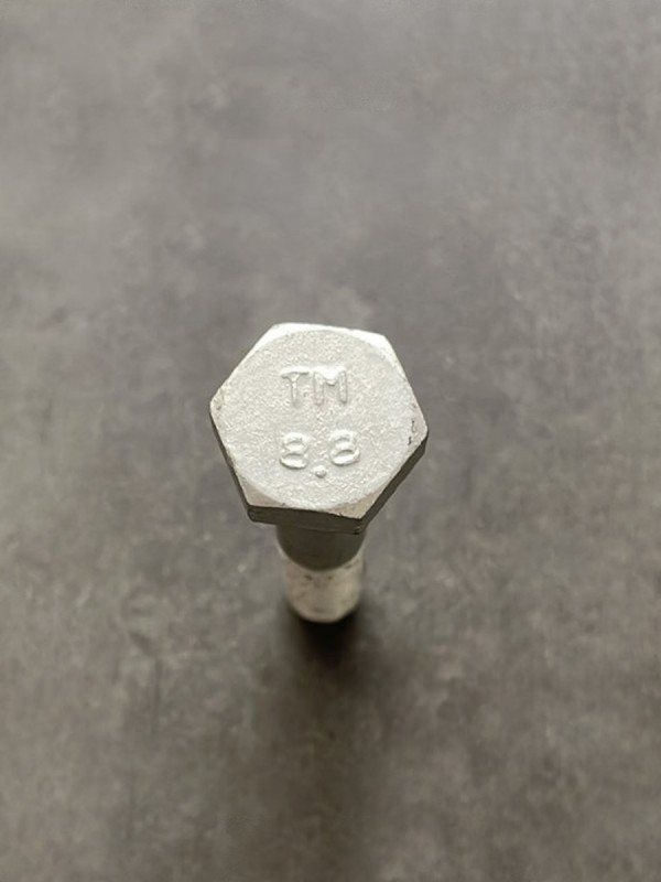 Болт М10х55х1,25 1/58887/21