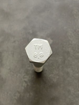 Болт М10х60х1,25 1/12880/21