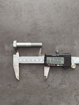 Болт М10х60х1,25 1/12880/21