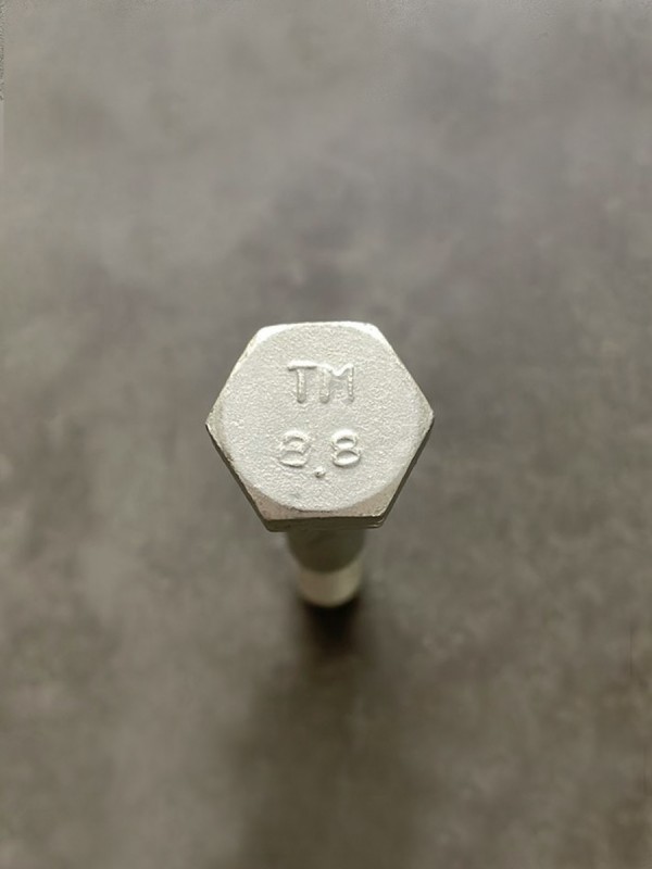 Болт М10х70х1,25 1/58888/21