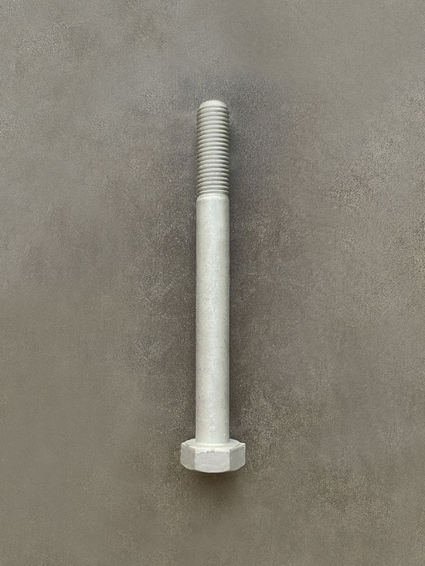 Болт М10х100х1,25 1/59718/21