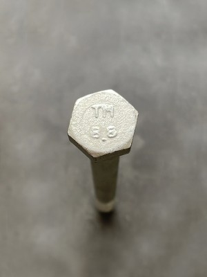 Болт М10х110х1,25 1/59720/21