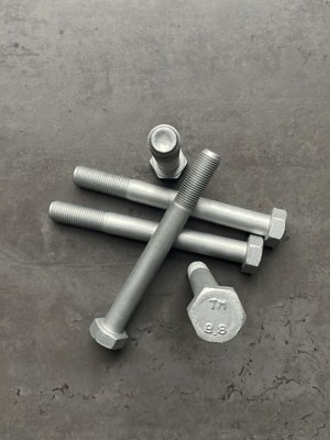 Болт М12х130х1,25 1/55419/21