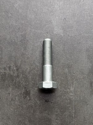 Болт М10х50х1,25 1/13438/31