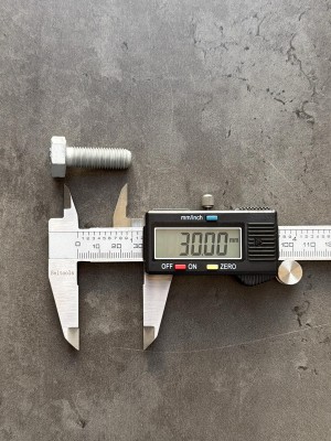 Болт М10х30х1,25 1/13069/31